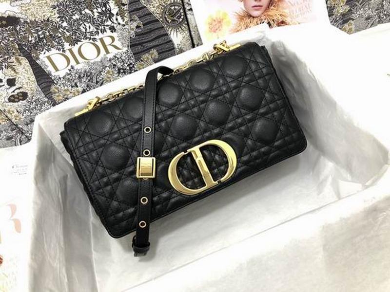 DIOR Handbags 51